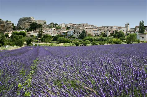 gras frankreich parfum